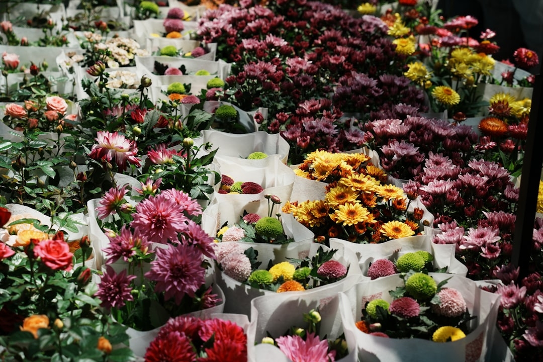 Growing flowers vs buying – real cost analysis