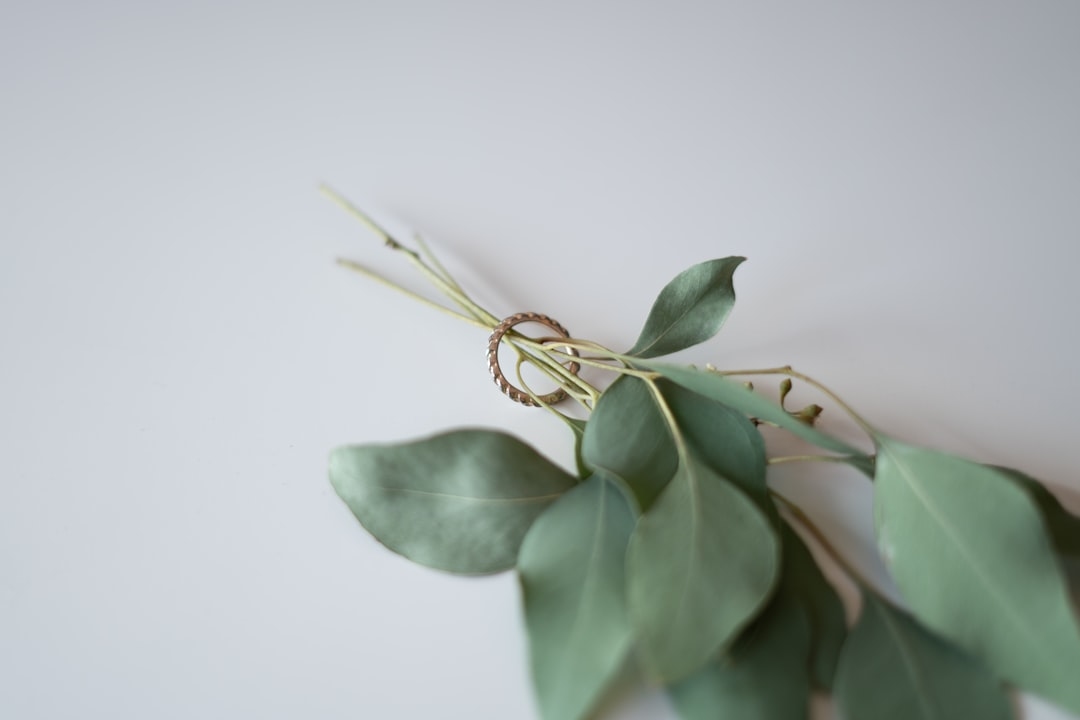 Greenery rental vs purchase wedding